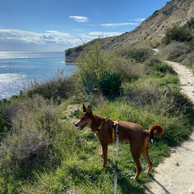 Wandern in Slowenien